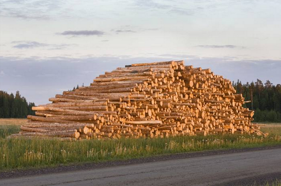 豐富的木材產品